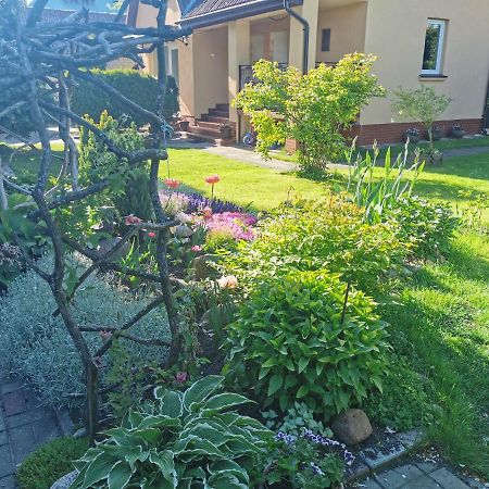 Poilsis Pas Virginija Apartman Palanga Kültér fotó